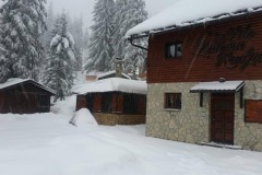 Apartman-Favorit11