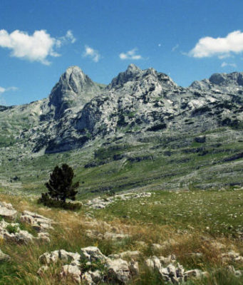 prenj planina
