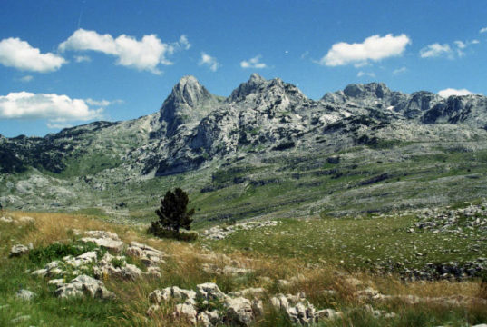 prenj planina